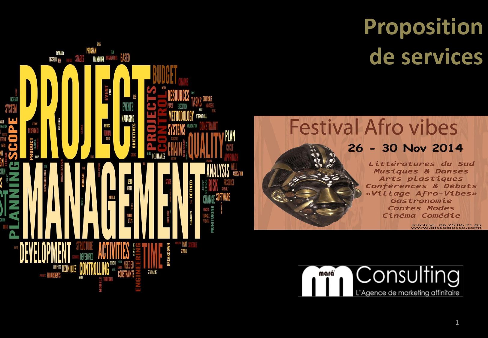 Festival Afrovibes 2014