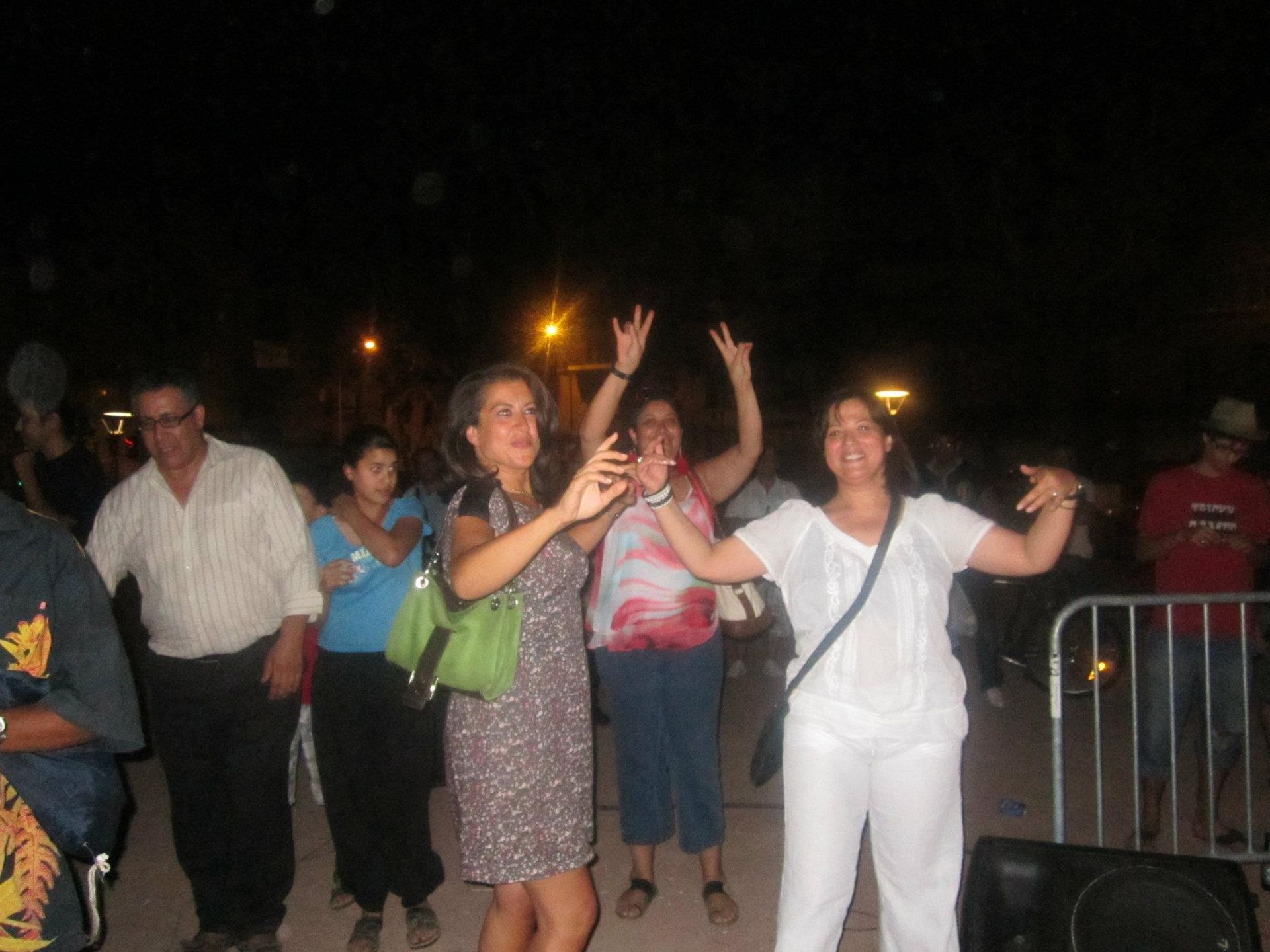 Festival tout le monde dehors 2012