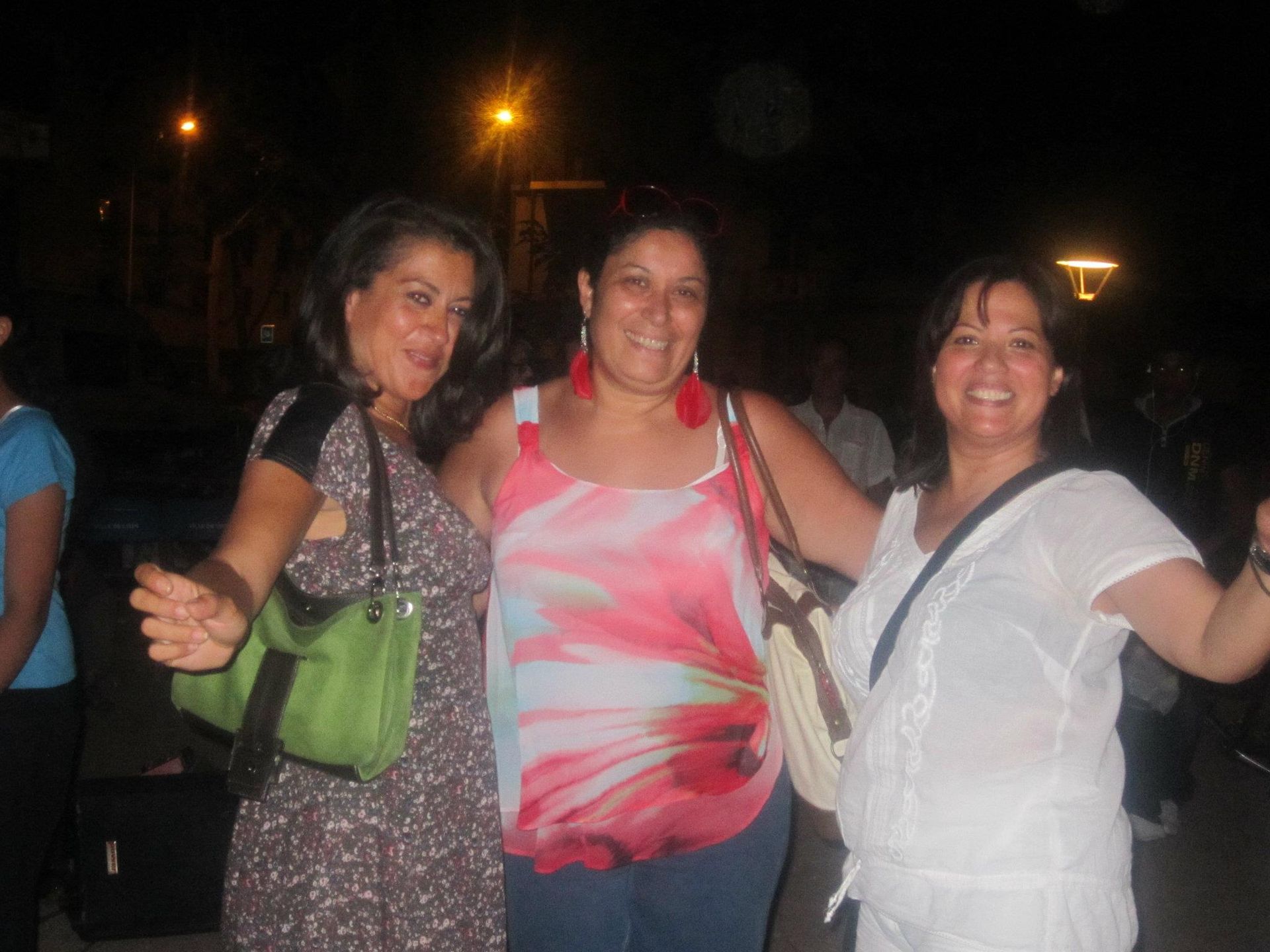 Festival tout le monde dehors 2012