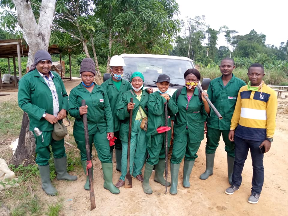 Plantation ananas Bonepoupa